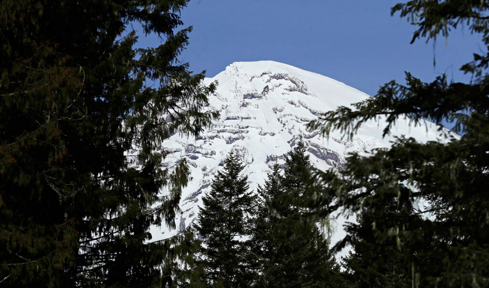 Mount Rainier is seen through the trees at Mount Rainier National Park, Jan. 28. Rainier and the nation’s other national parks and public lands have long relied on a funding program, the Land and Water Conservation Fund, which Congress is preparing to renew as part of a package of related legislation. (Ted S. Warren/Associated Press)