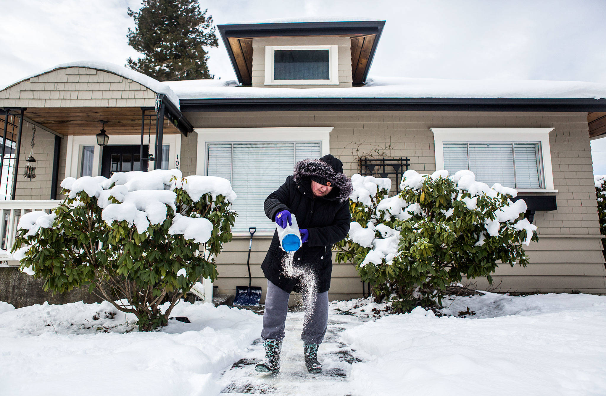 Kathy Culver salts the walkway to her home Sunday in Everett. “Not sure how much good it will do with the new snow coming,” she said. (Olivia Vanni / The Herald)