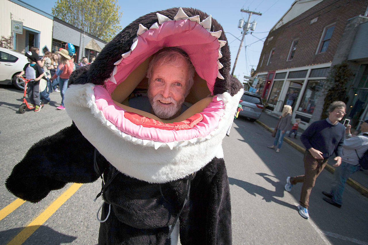 Howard Garrett, co-founder of the Orca Network on Whidbey Island, wears a killer whale costume at the Welcome the Whales Parade in Langley in April 2015. (David Welton / David Welton Photography)