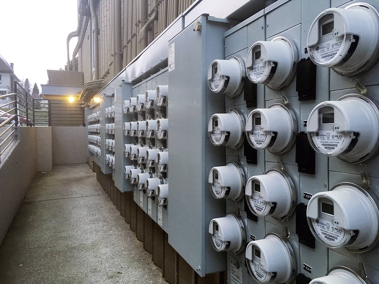 People use a lot more electricity during cold snaps. (Sue Misao / Herald file)