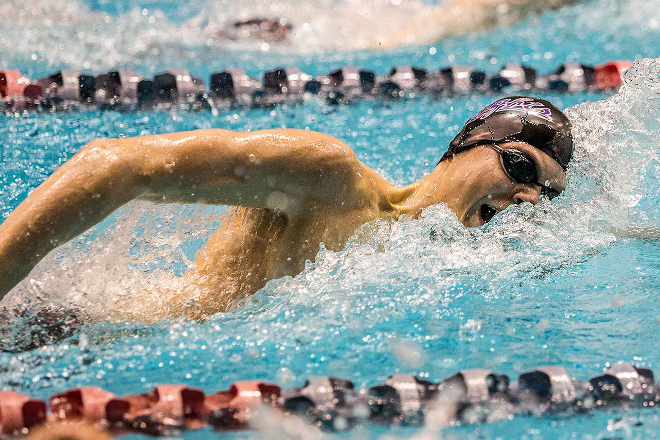 Freestyle trio leads Kamiak’s strong state swim performance (VIDEO)