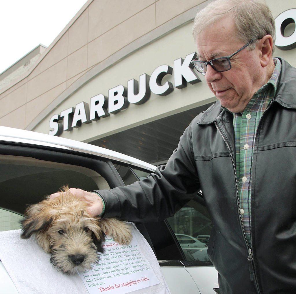 Bill Cheaqui and his dog, Katy, are regulars at Starbucks near Safeway in Oak Harbor. (Maria Matson / Whidbey News-Times)

