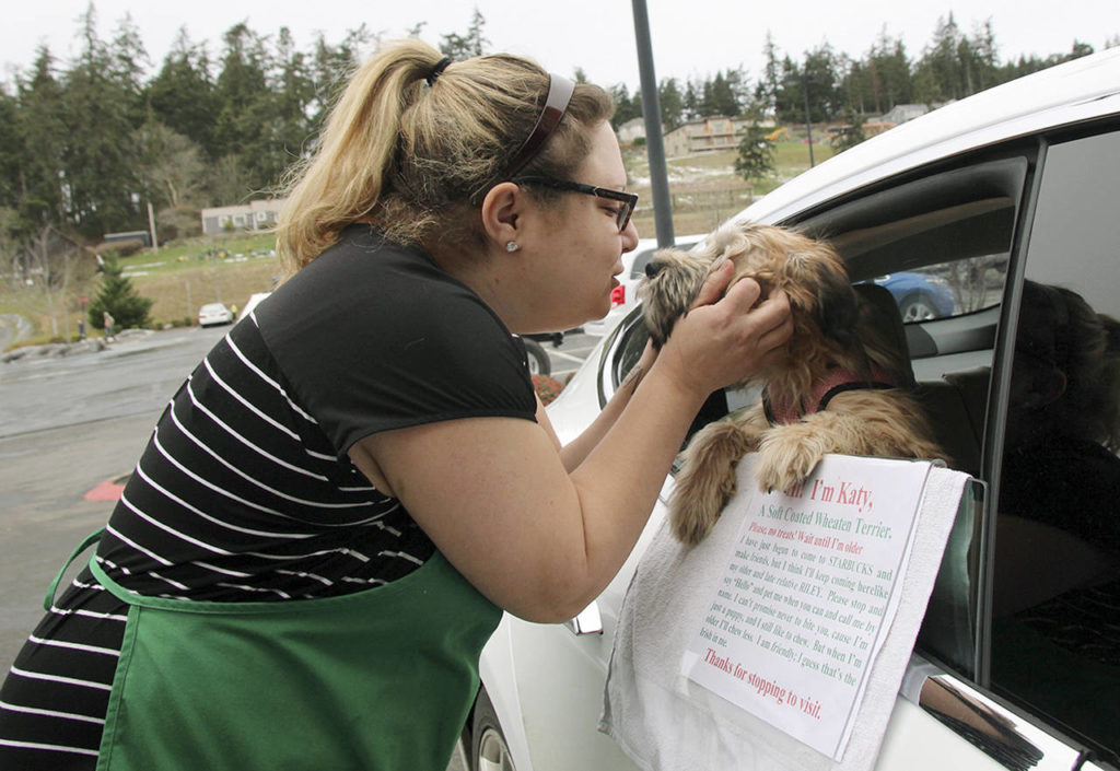 Erin Hendrick, Starbucks manager, stops by to say hello to Katy. (Maria Matson / Whidbey News-Times)
