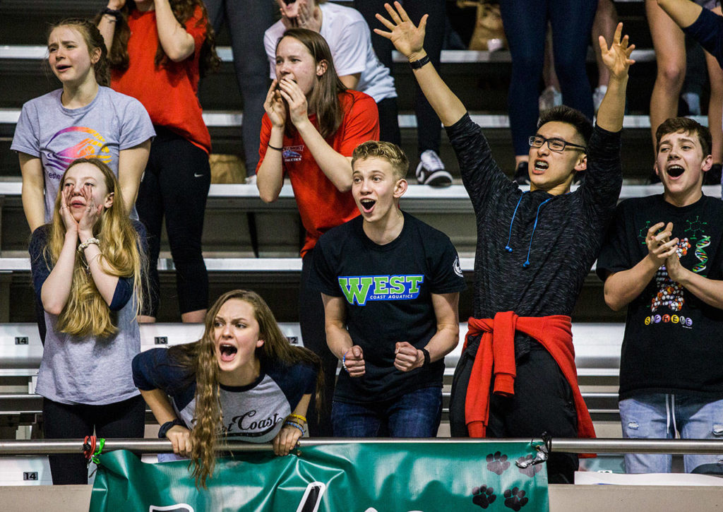 Jackson High School fans cheer on Justin Limberg in the Mens 100 Yard Breaststroke during the 4A Boys’ Swim/Dive Championships on Saturday, Feb. 16, 2019 in Federal Way, Wash. (Olivia Vanni / The Herald)
