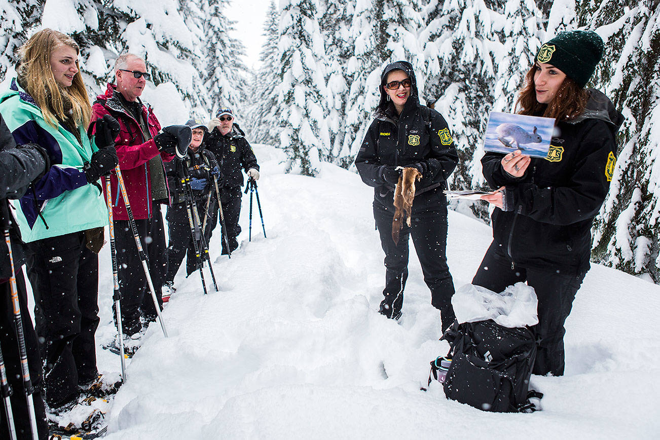 ‘Snowshoe with a Ranger’ makes the forest more accessible