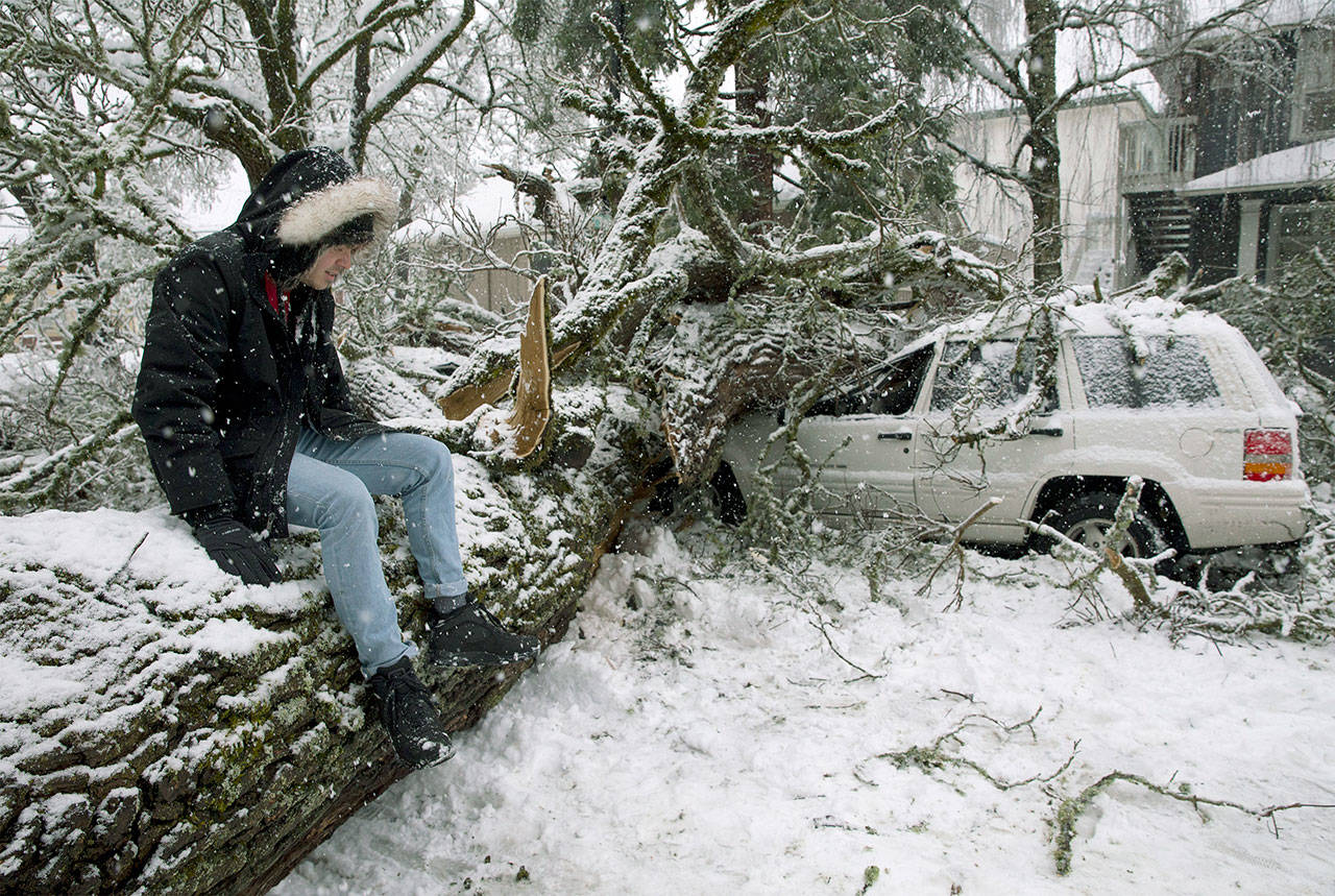 Colin Kearney sits on the tree that fell across his car that he had parked on 12th Street in Eugene, Oregon, early Monday after several inches of snow fell in the area. (Andy Nelson/The Register-Guard via AP)