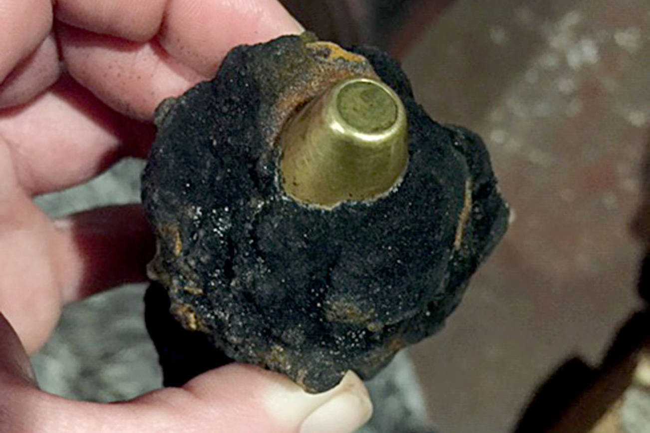 Military explosive devices found on Grays Harbor beach