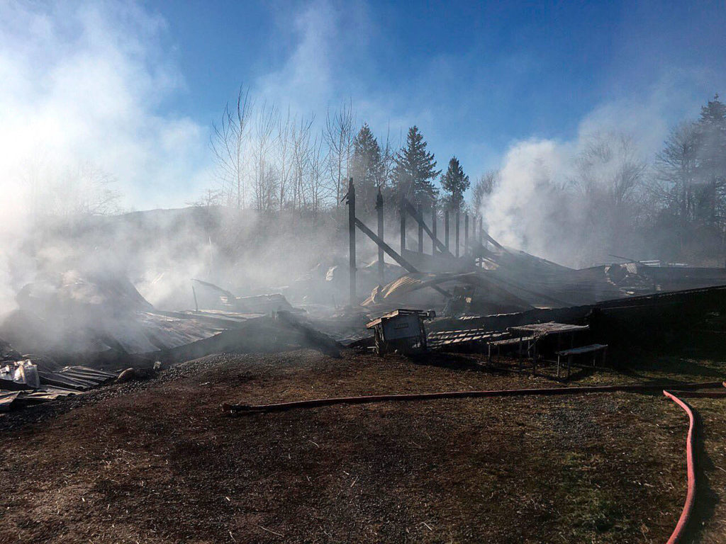 Firefighters were able to open stalls for two horses to escape a barn engulfed in flames early Thursday morning in Monroe, but four other horses died. (Snohomish County Fire District 7)
