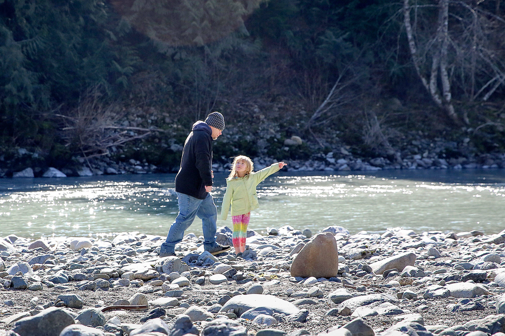 Jesse Miller and his daughter Roselyn Hunt, 6, browse the banks of the South Fork Stillaguamish River off Jordan Road outside Arlington for gems and other precious medals. Miller, an amateur prospector, says, “There’s gold in dem dar hills.” Sunday afternoon on March 3, 2019. (Kevin Clark / The Herald)