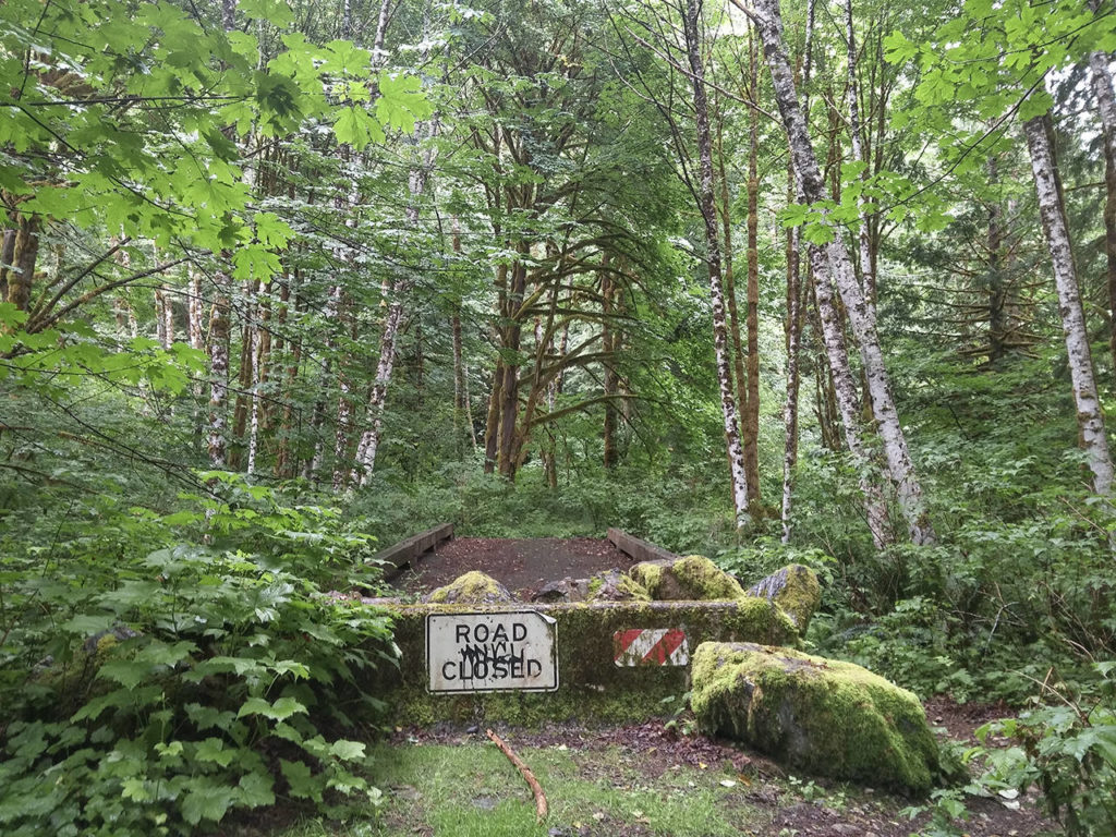 The Mine Road Trail off Highway 530 near Darrington. (Rikki King / The Herald)
