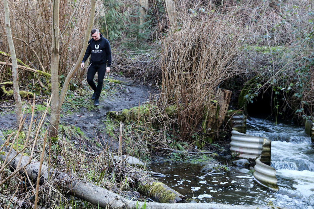 Lazarus Hart was named a state scholar representing Edmonds Community College for studies on campus and work in surveying Japanese Gulch in Mukilteo. (Kevin Clark / The Herald)
