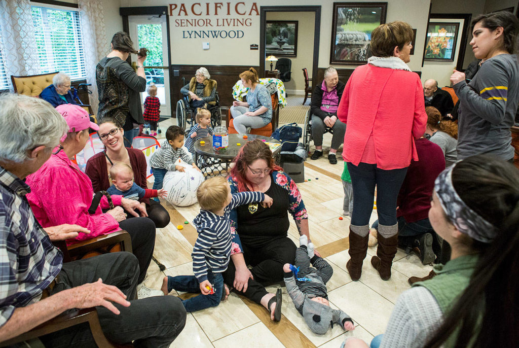 Parents, toddlers and Pacifica Senior Living residents gather during the Seniors & Sprouts program at Pacifica Senior Living in Lynnwood. (Olivia Vanni / The Herald)
