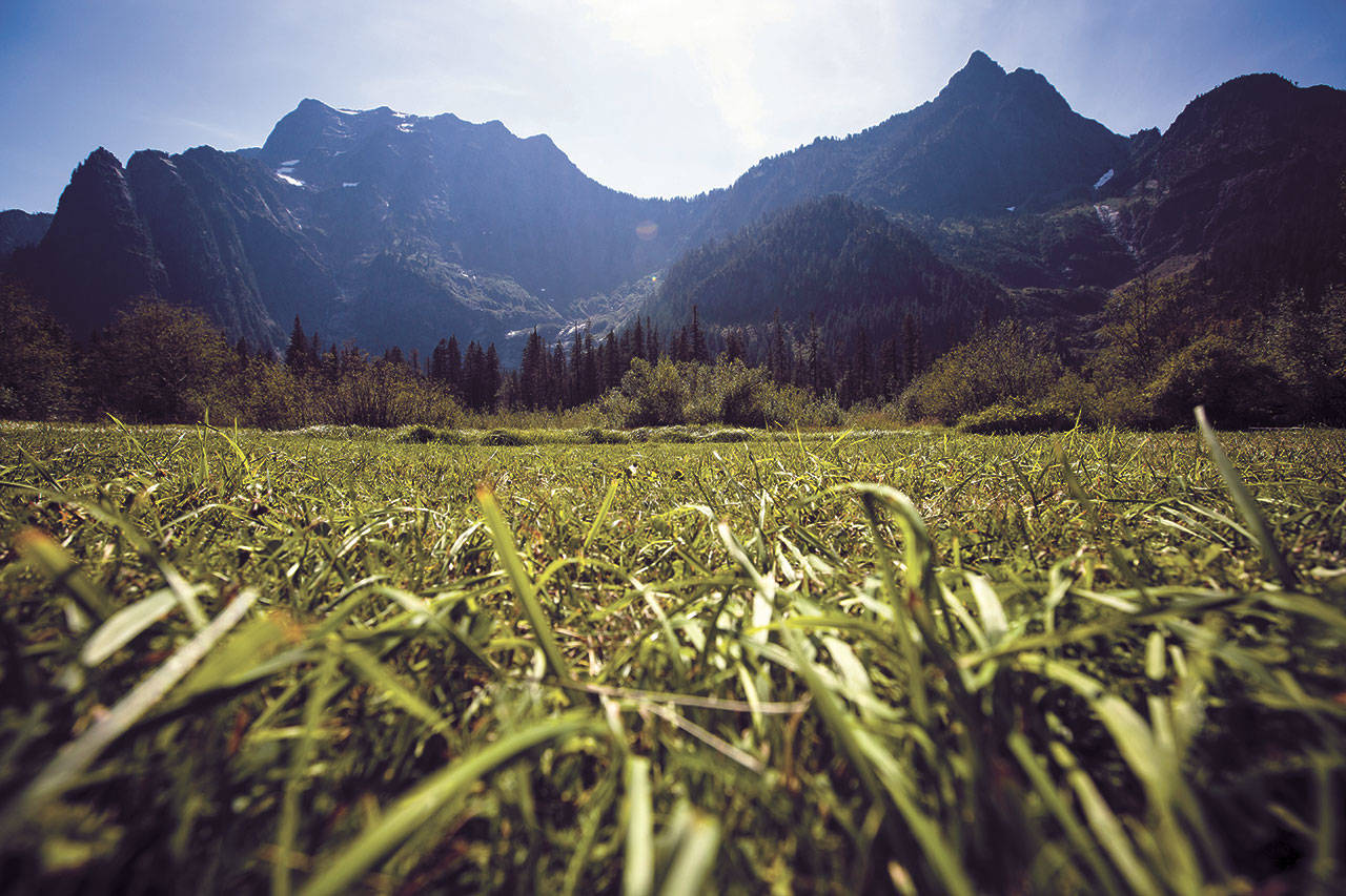 Big Four Mountain stands tall in the background on a sunny day Aug. 19, 2016, at the Big Four Ice Caves Picnic Area off the Mountain Loop Highway. (Daniella Beccaria / For The Herald)