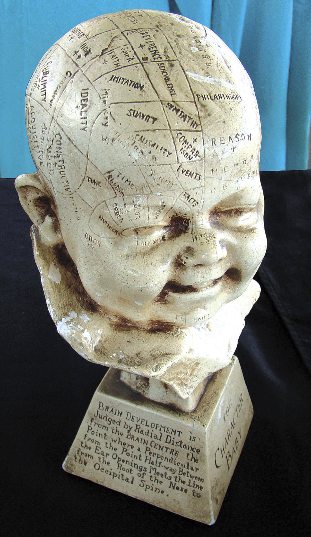 There are still those who believe in the theories of phrenology, but most who buy a phrenology head want it as a decoration. (Cowles Syndicate Inc.)