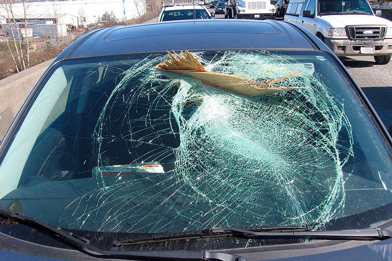 Lumber crashes through vehicle’s windshield in Kent