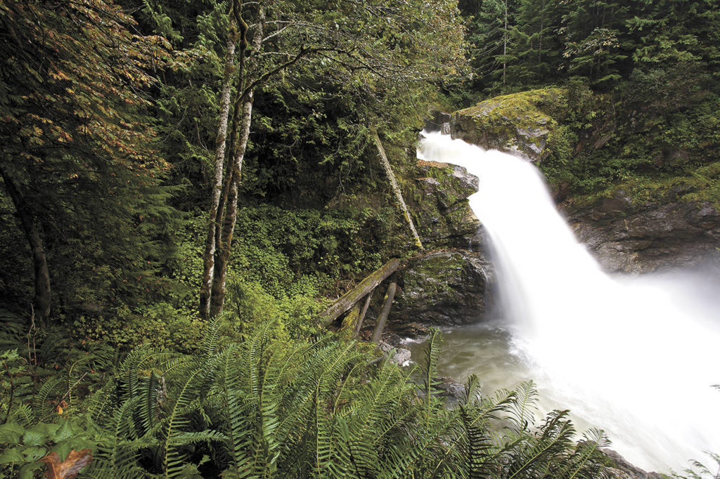 The Sauk River, of the Skagit’s main tributaries, is also preserved by the Wild and Scenic Rivers Act. It flows through Snohomish County near Darrington. (Tim Palmer)
