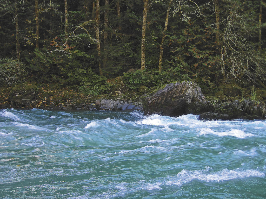 The protected stretch of the Skagit River extends from near Marblemount to Sedro-Woolley. (Tim Palmer)

