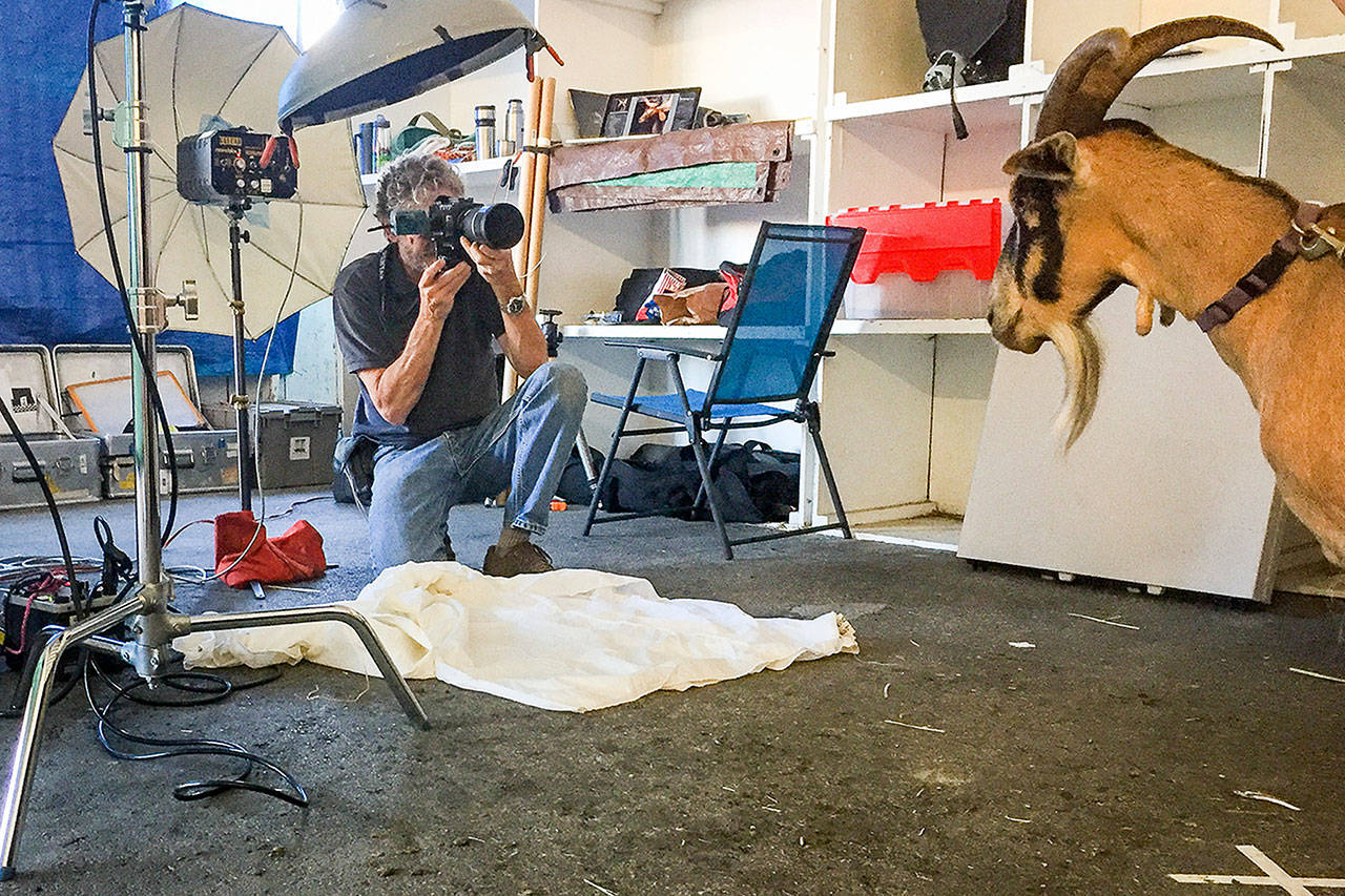 Kevin Horan zooms in on one of his subjects at the New Moon Farm Goatalympics at Evergreen State Fairgrounds in 2017. (Cindy Apple)
