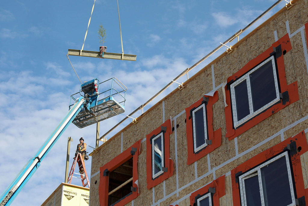 A tree was attached to the final beam for HopeWorks Station II to symbolize the life the project is bringing into the community. The beam was hoisted into place during a ceremony Friday, March 22. (Lizz Giordano / The Herald)
