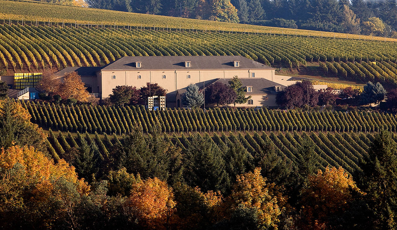 Archery Summit Winery is in Oregon’s Dundee Hills. (Archery Summit)