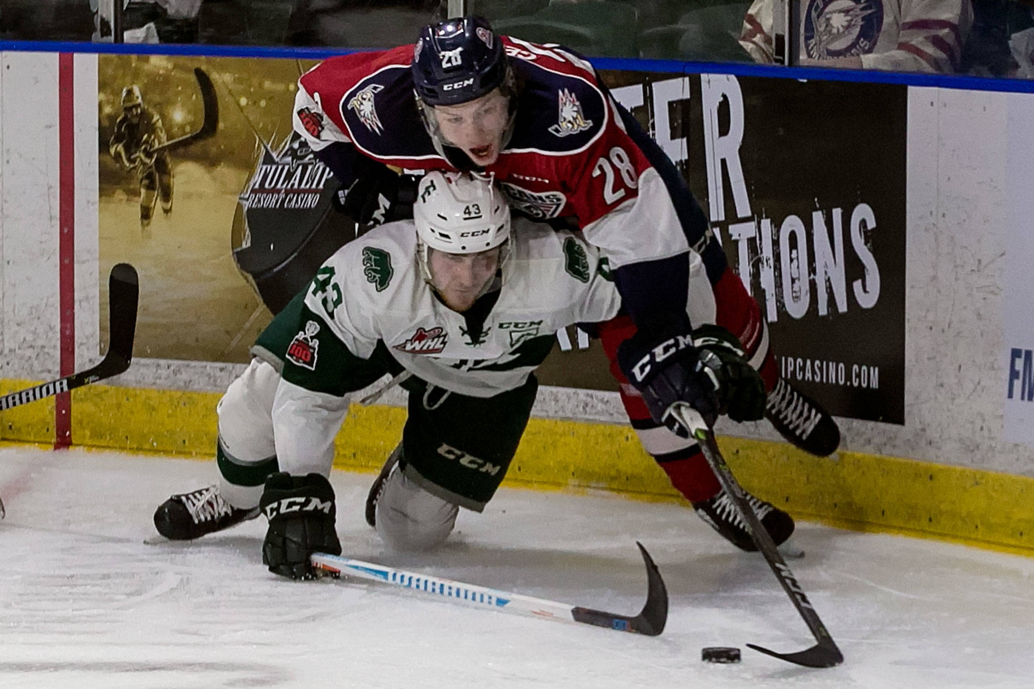 Everett’s Connor Dewar is covered by Tri-City’s Morgan Geekie during a playoff game on April 28, 2018, at the Angel of the Winds Arena in Everett. (Kevin Clark / The Herald)