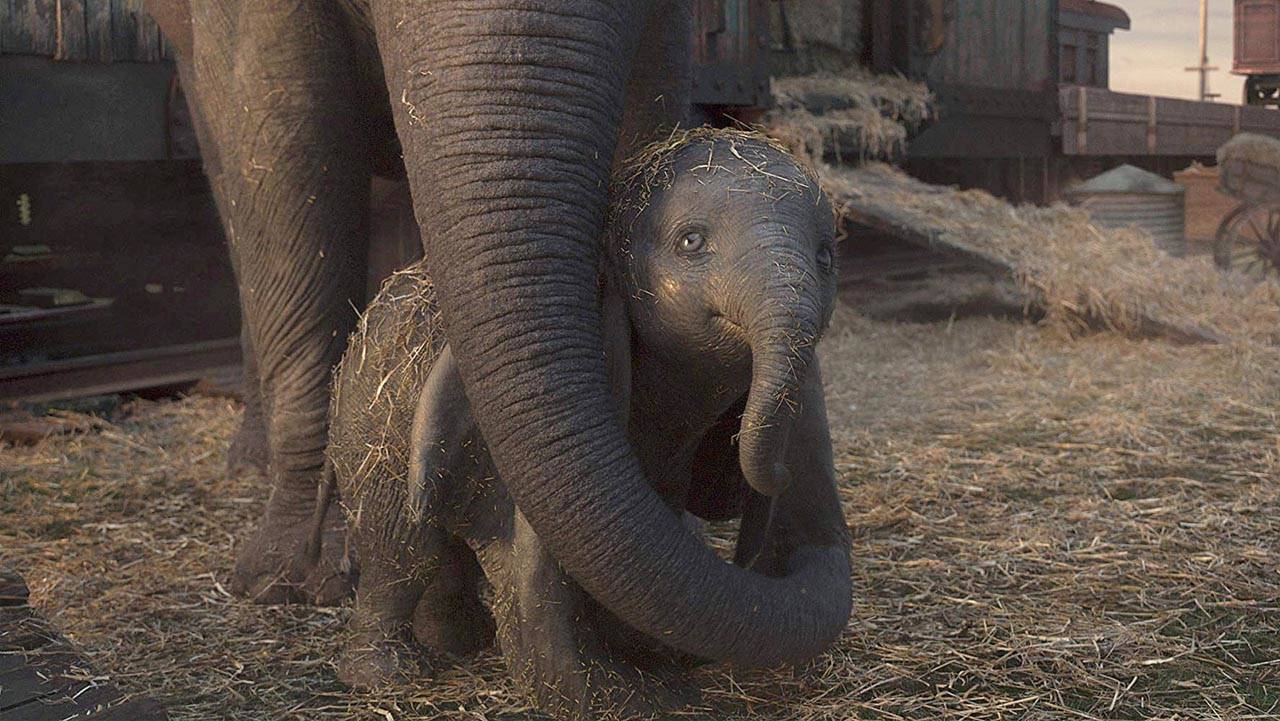 The CGI baby elephant is adorable as ever in “Dumbo.” Unfortunately, the film focuses on humans. (Walt Disney Pictures)