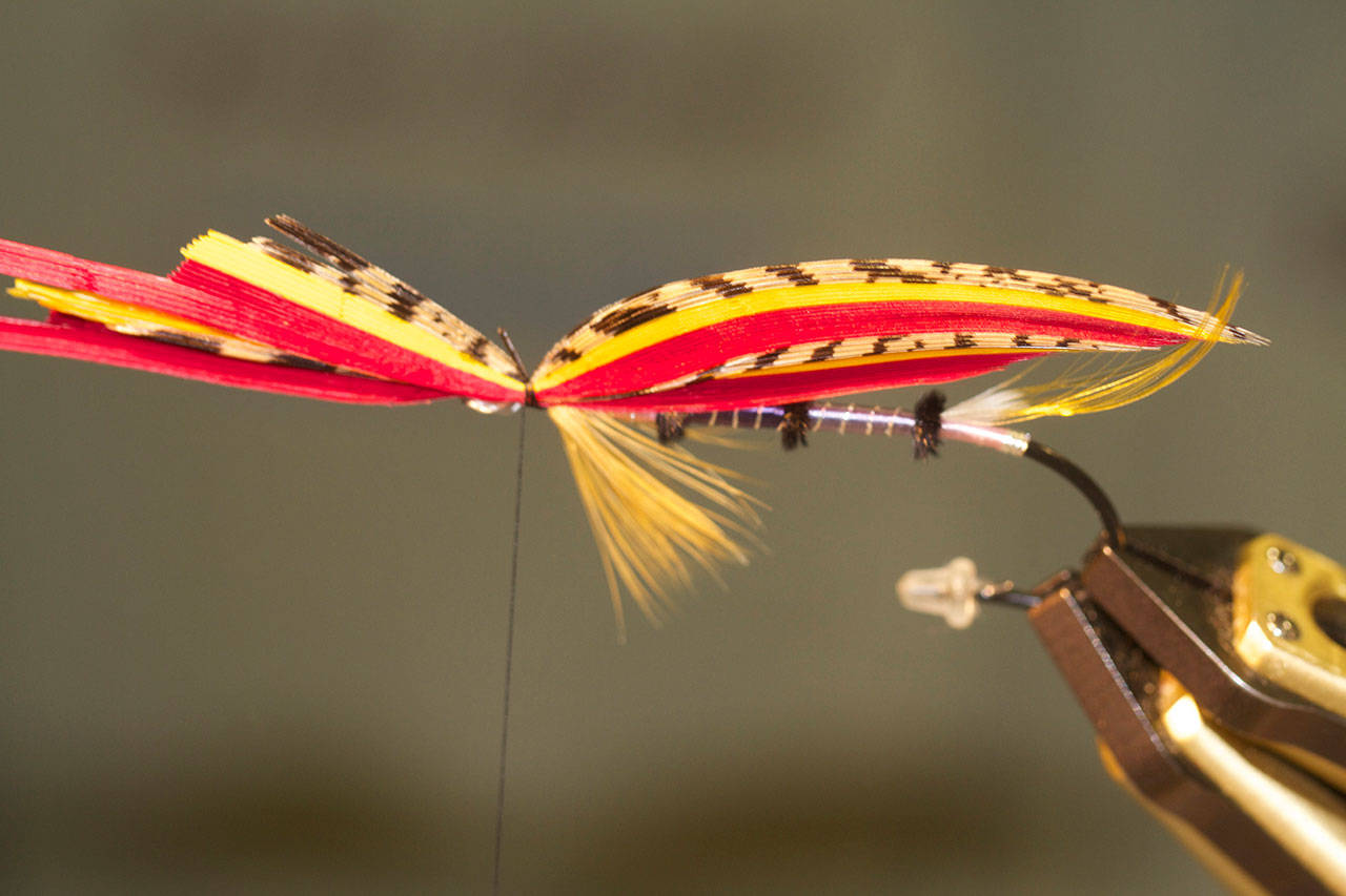 An Atlantic salmon pattern in progress is displayed by Brett Bruel of Renton, a member of a tying guild for the classic salmon flies. (Mike Benbow)