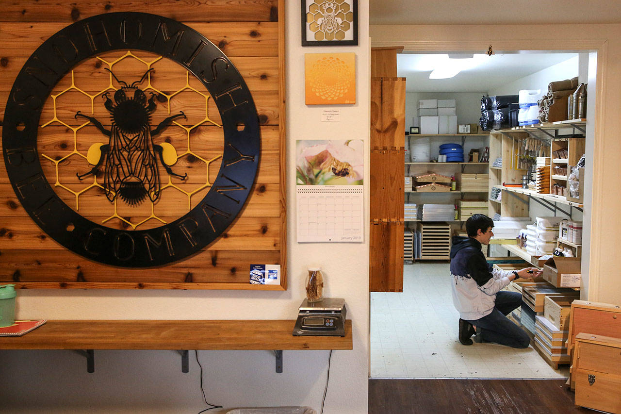 Brandon Wight works the shelves at the Snohomish Bee Co. in Snohomish. Wight, 19, helps new hobbyists with their beehives. He has four hives of his own. (Kevin Clark / The Herald)