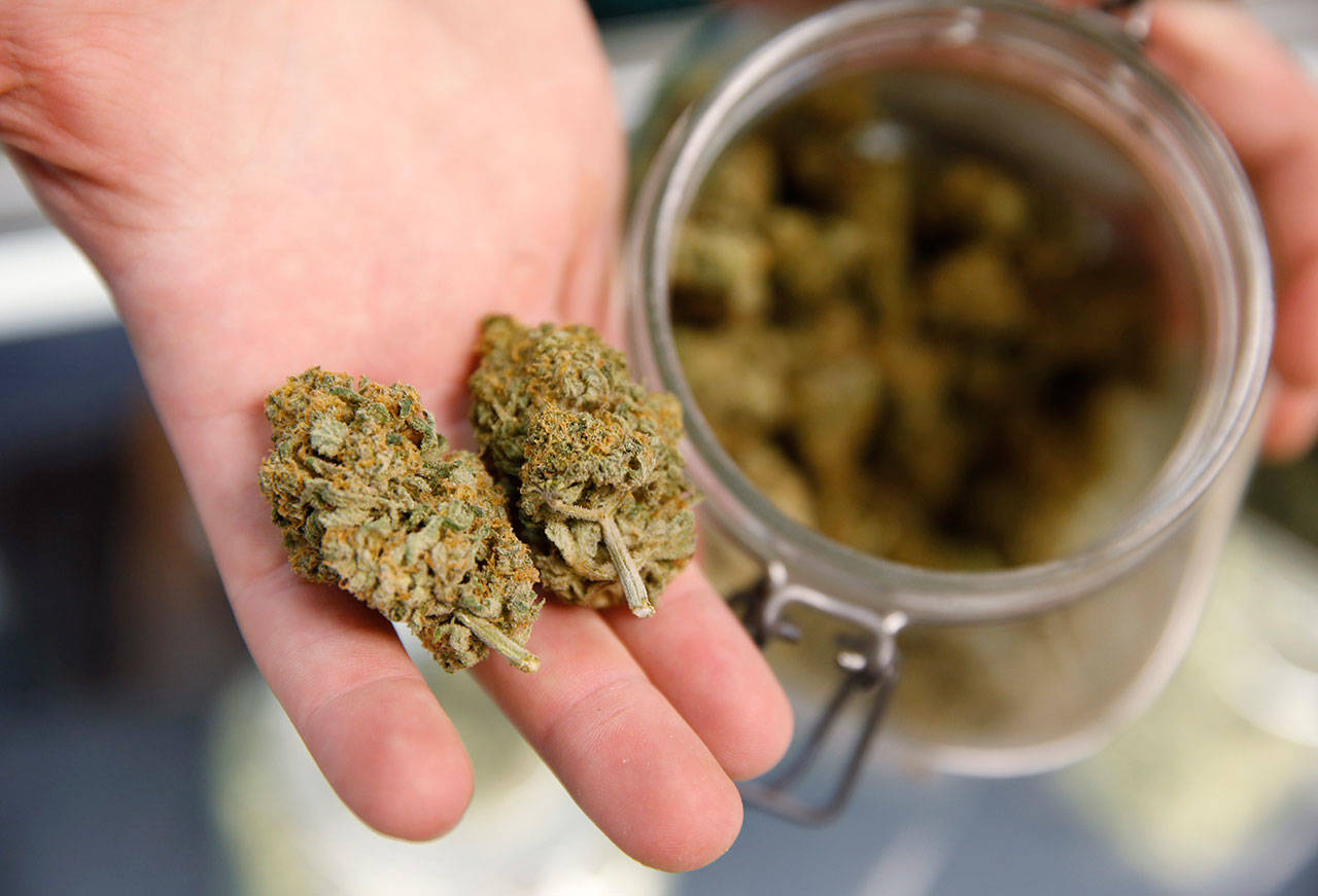 A bud tender holds two marijuana buds on his fingers on the way to a customer at the Denver Kush Club in north Denver in 2015. Legislation that would provide federal protection for financial institutions that serve state-authorized marijuana and ancillary businesses has passed a U.S. House committee. The House Financial Services Committee voted 45-15 Thursday to advance the bill after amending it to include provisions to provide a safe harbor for insurance companies and improve access of financial services to minority and women-owned cannabis businesses. (AP Photo/David Zalubowski, File)