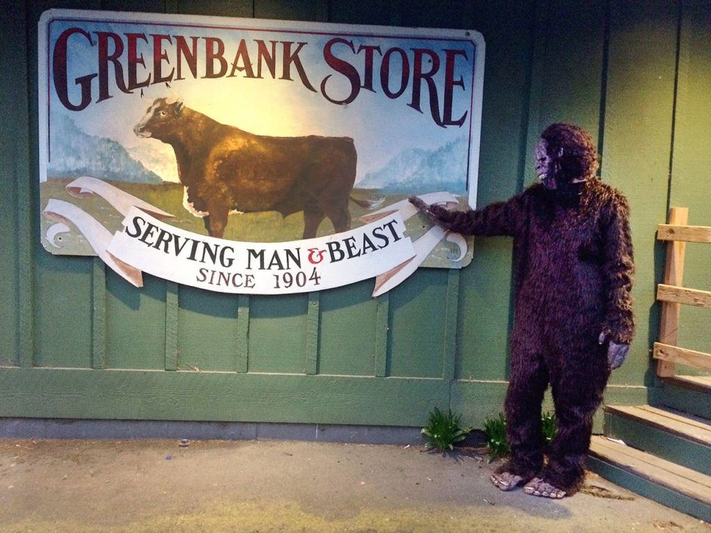 Sightings of Bigfoot have included forests, kale farms, the Clyde Theatre and the Greenbank Store. (South Whidbey Record)
