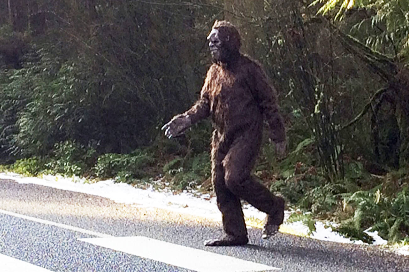 sighting of bigfoot