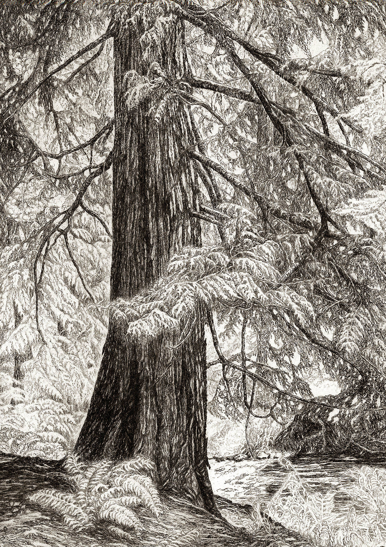 Helen Loggie’s “Hosanna” is an etching made in 1960, and is part of the new exhibit at Cascadia Art Museum in Edmonds.
