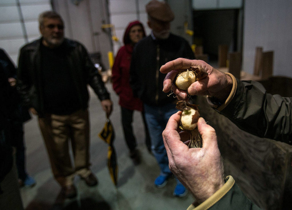 Leo Roozen explains how the company reuses bulbs for new plants as well as fertilizer. (Andy Bronson / The Herald)
