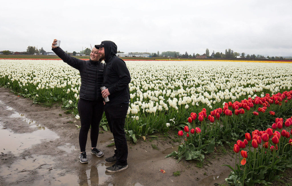 Brooke Whitfield and Kirby Snyder take a photo together while looking over tulips at the RoozenGaarde display garden on April 30, 2018, in Mount Vernon. (Andy Bronson / The Herald)
