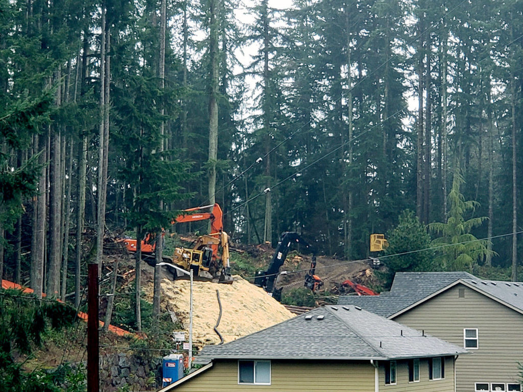 The site of the Frognal Estates subdivision was logged in December. Snohomish County is preparing to issue a grading permit for more extensive work on the proposed subdivision near Picnic Point Road. (Noah Haglund / The Herald)
