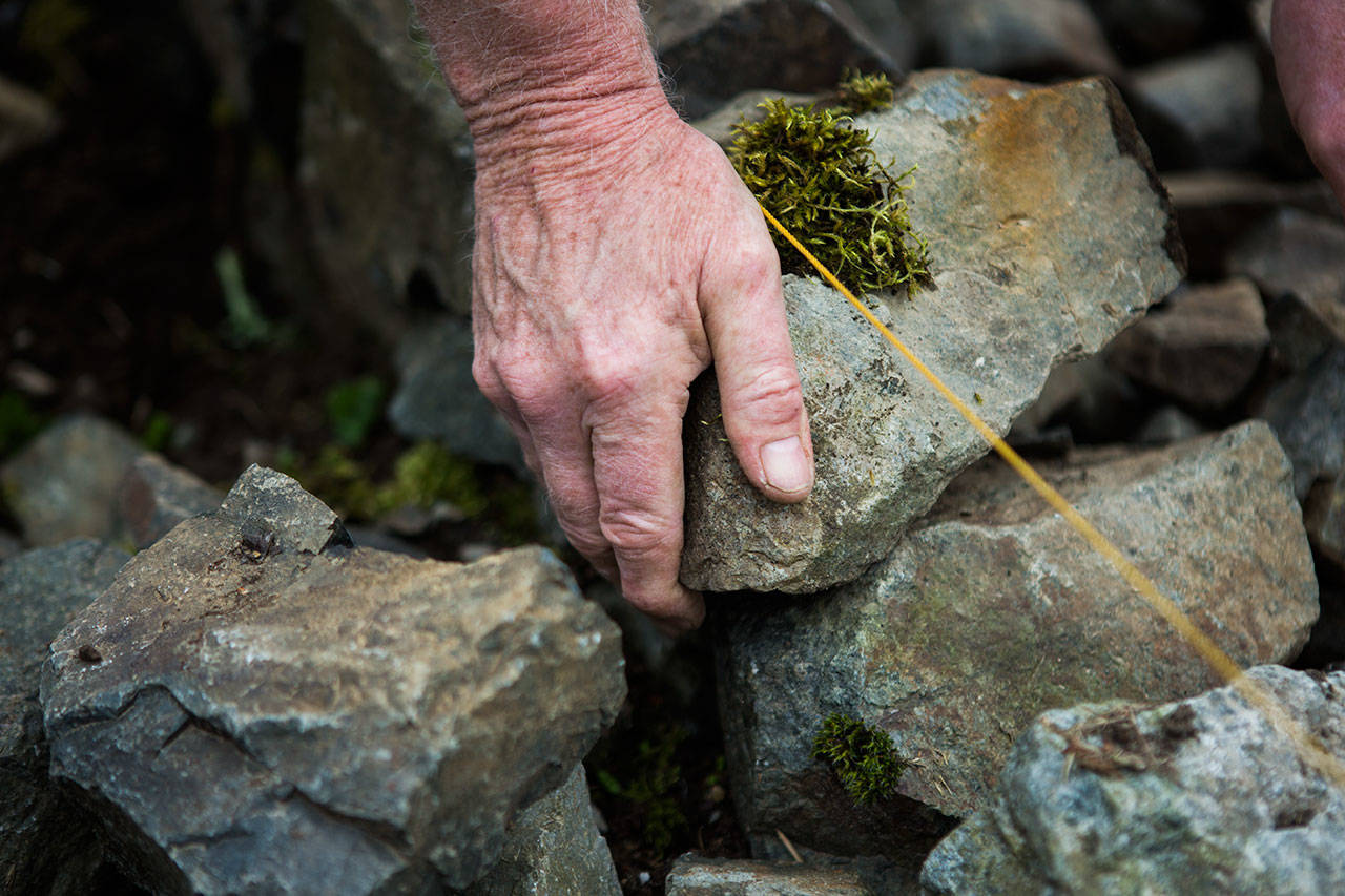 Nick Aitken tests a rock’s fit in the wall. (Olivia Vanni / The Herald)