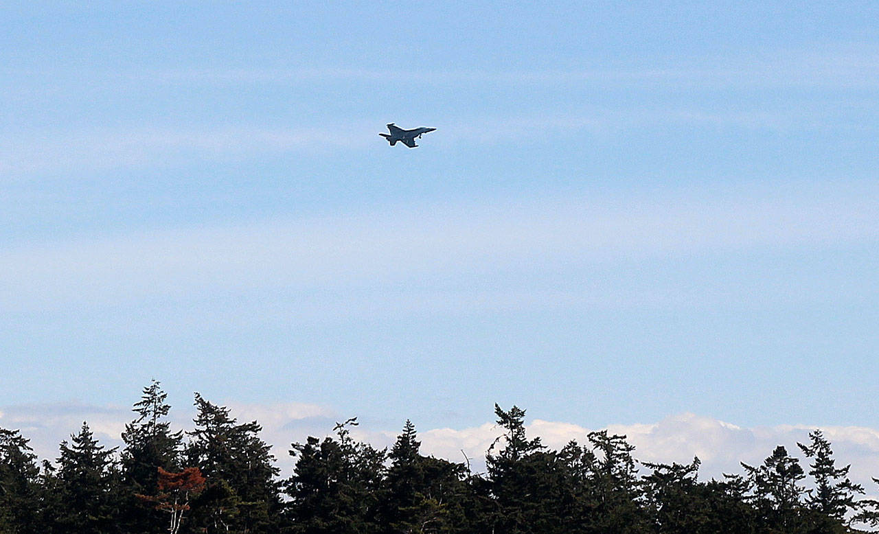 A Growler flies near a treeline just outside of Coupeville on April 1. (Jessie Stensland / Whidbey News-Times)