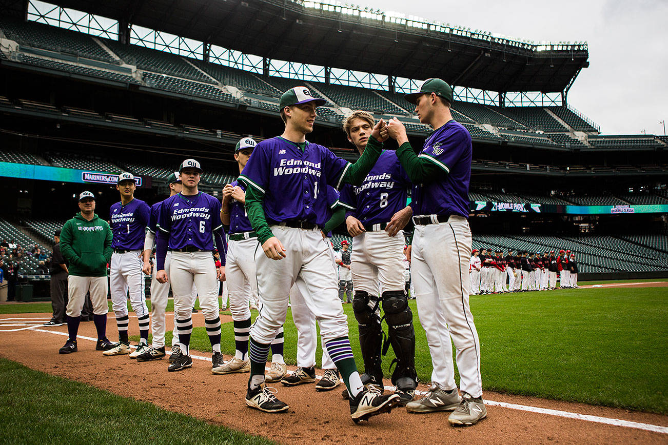 High school baseball team gets a taste of the big leagues