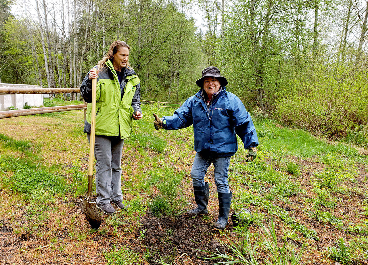 Joyce Altaras (right) helped lead the effort to preserve the west side of Lake Stickney from development. She attended a ceremonial tree-planting with Snohomish County Councilwoman Stephanie Wright (left) at the Lynnwood-area lake Monday as part of Earth Day. (Noah Haglund / The Herald)