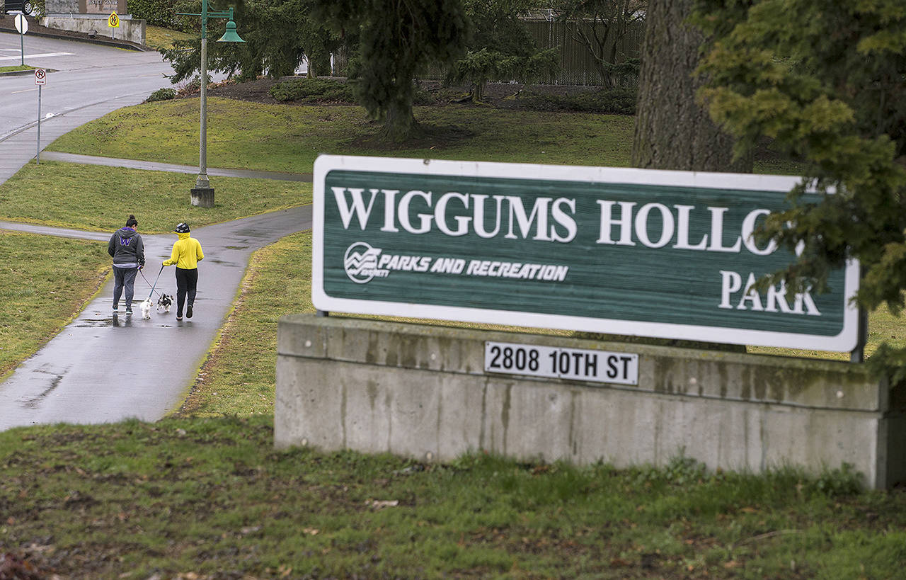 Two women walk dogs at Wiggums Hollow Park in 2017 in Everett. (Andy Bronson / Herald, file)