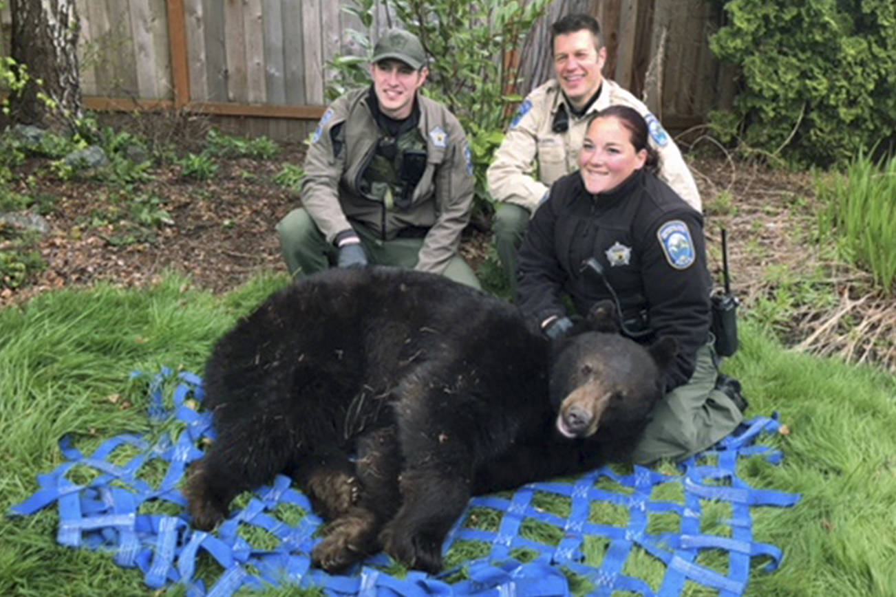 Wildlife officers trap bear in Monroe neighborhood