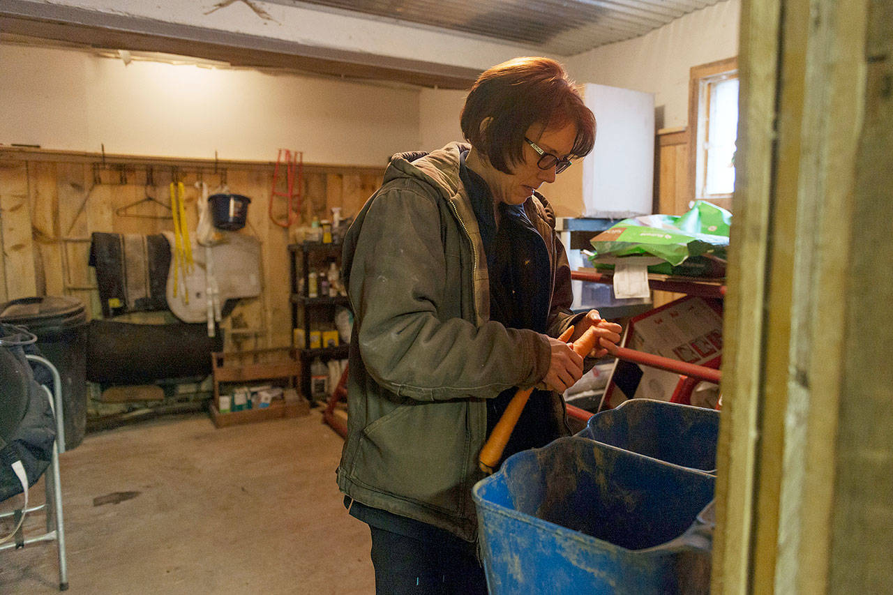 Kelly Povroznik grabs a few carrots from inside her storage space to give to her horses in their pasture outside of Clarksburg, West Virginia. Povroznik teaches an online college course that has been hampered by slow connections on her computer and phone. (Craig Hudson / Associated Press)