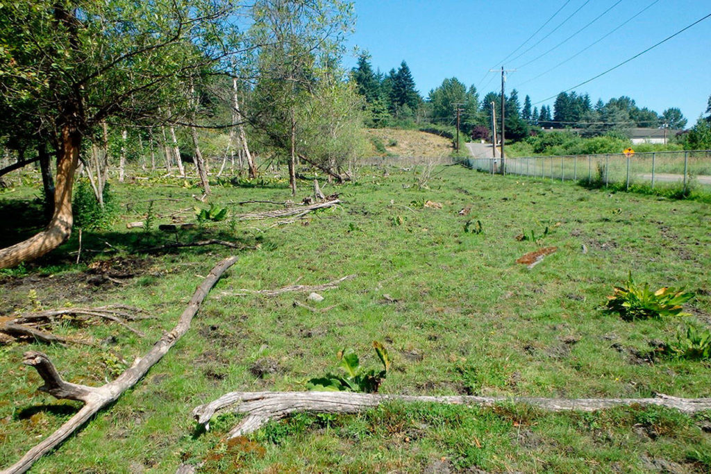 The site offers an opportunity to improve habitat in the rapidly developing area between Bothell and Woodinville. (Snohomish County)
