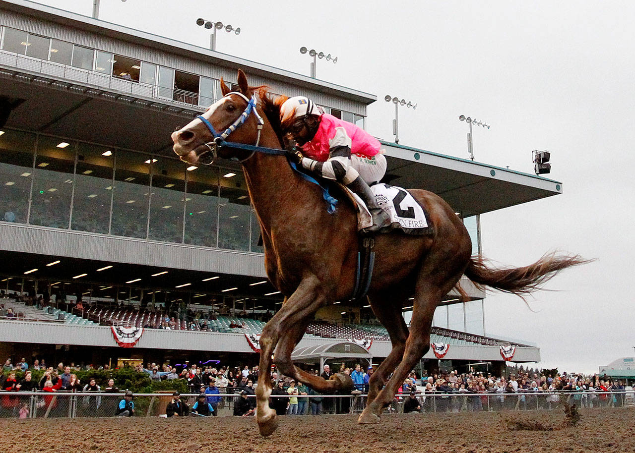 Sippin Fire, the 2018 Washington horse of the year, is expected to be a Longacres Mile contender this season at Emerald Downs. (Photo courtesy of Emerald Downs)
