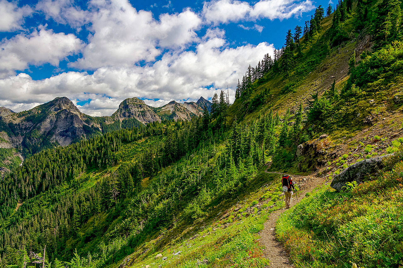 A backpacker hikes near High Pass in North Cascades National Park in 2016. (Kevin Mack / Herald file photo)