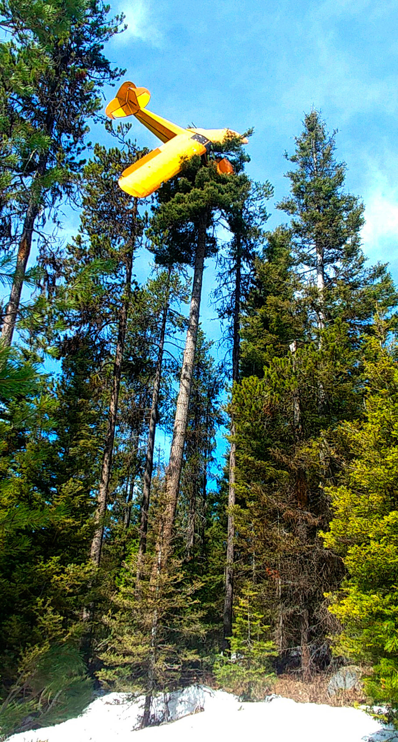 Undersheriff Jason Speer/Valley County Sheriff’s Office                                A small plane at the top of a tree near the resort town of McCall, Idaho. Pilot John Gregory was not hurt in the crash Monday night.