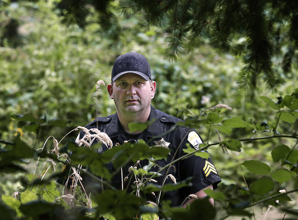 Arlington police Sgt. Rob Martin looks through blackberry vines at the spot Robert Endrizzi was killed by the SWAT team along Jim Creek Road in September 2012. (Dan Bates / The Herald)

