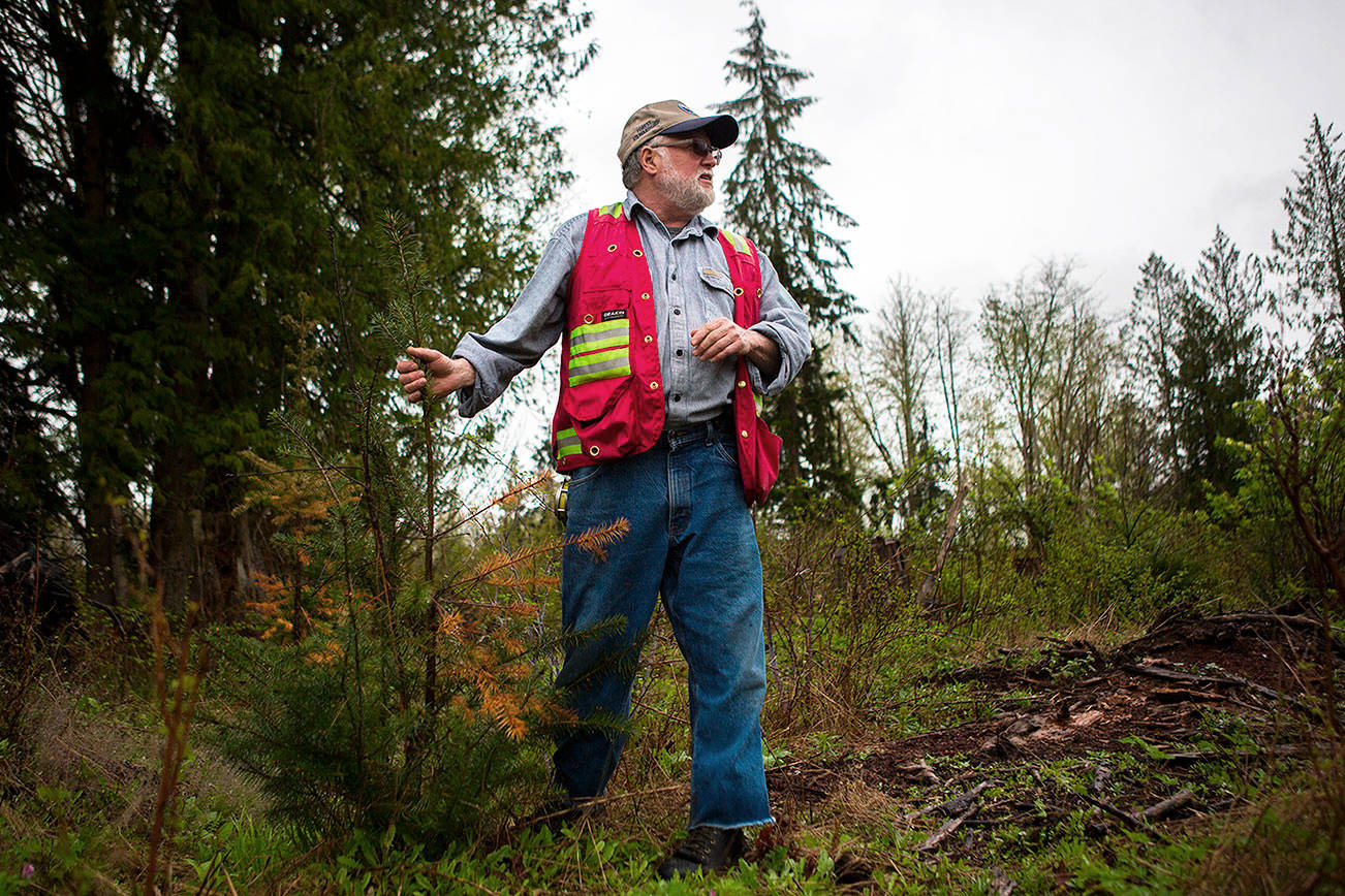 Passing on insights learned from decades in the woods