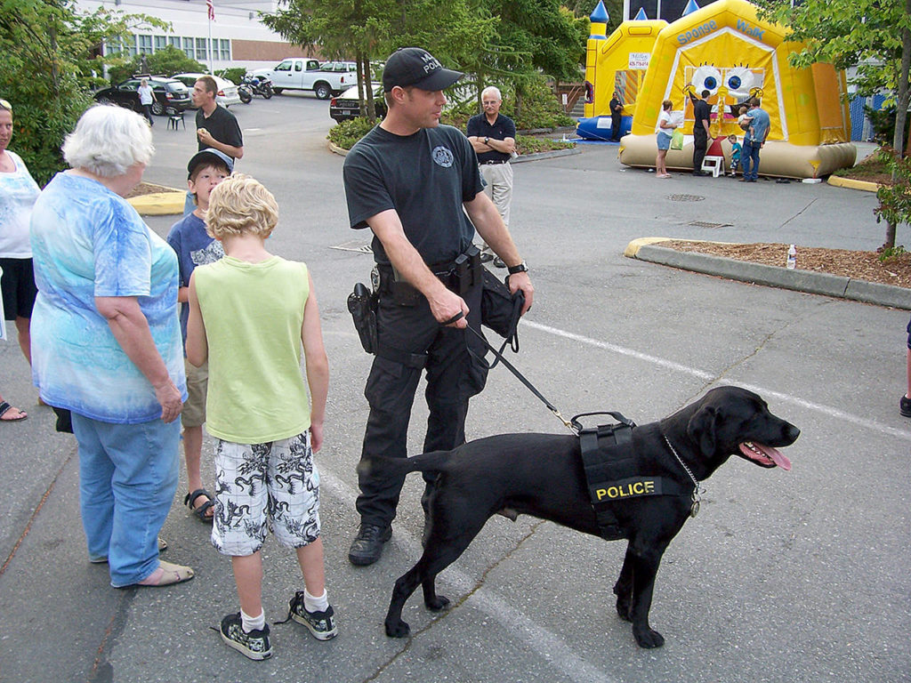 K-9 Hunter went on hundreds of calls, helping out police agencies around Puget Sound. (Mountlake Terrace Police Department)
