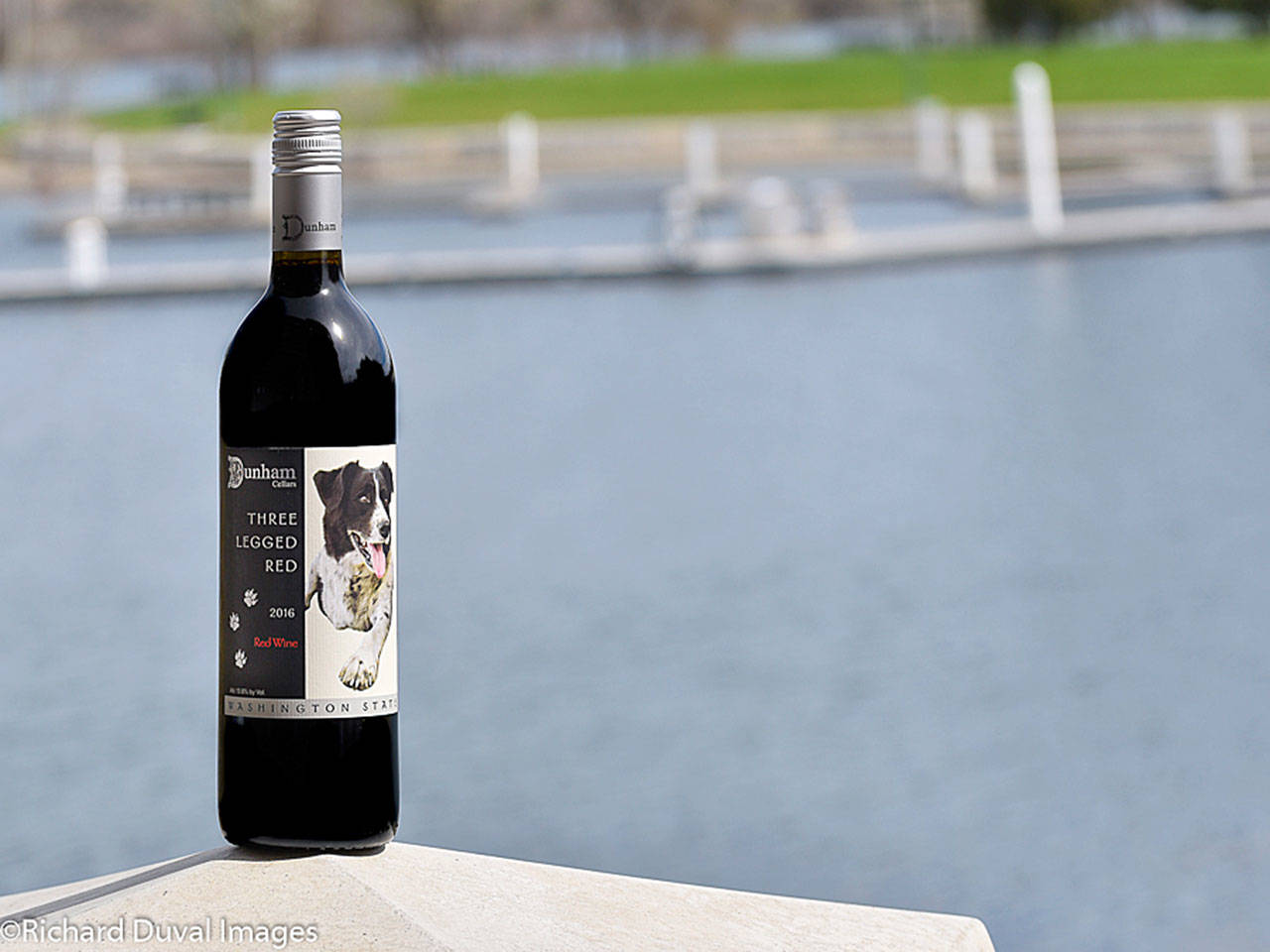 J.D. Nolan, who owns Fat Olives Restaurant in Richland, worked with the Mercer family to create the Schooler Nolan 2016 Cabernet Sauvignon from the Horse Heaven Hills. The $15 Cab was voted by judges as best of class at the 2019 Cascadia International Wine Competition. (Richard Duval Images)